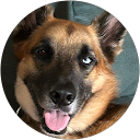 Casa Allegria profile picture